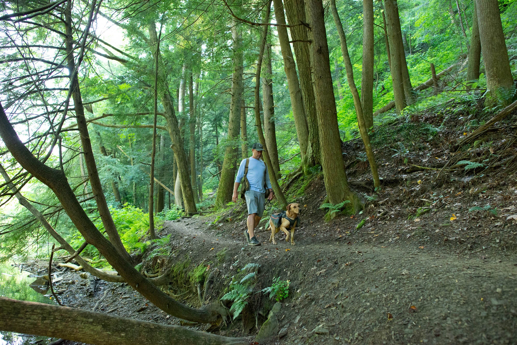 Hiking with dog