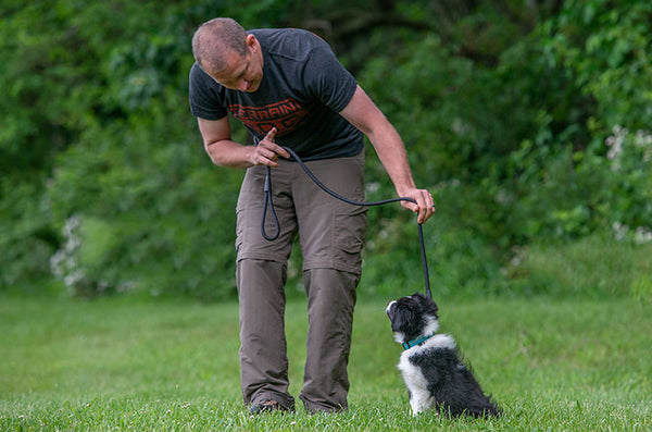 Terrain D.O.G. Training