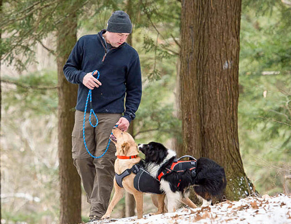 Terrain DOG Training