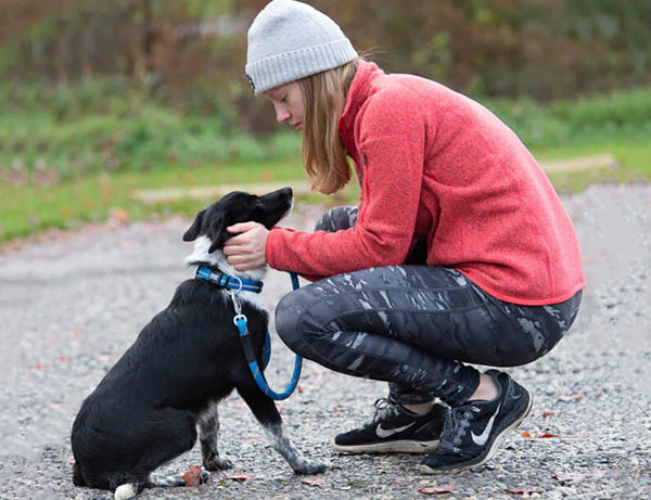 Terrain DOG Training