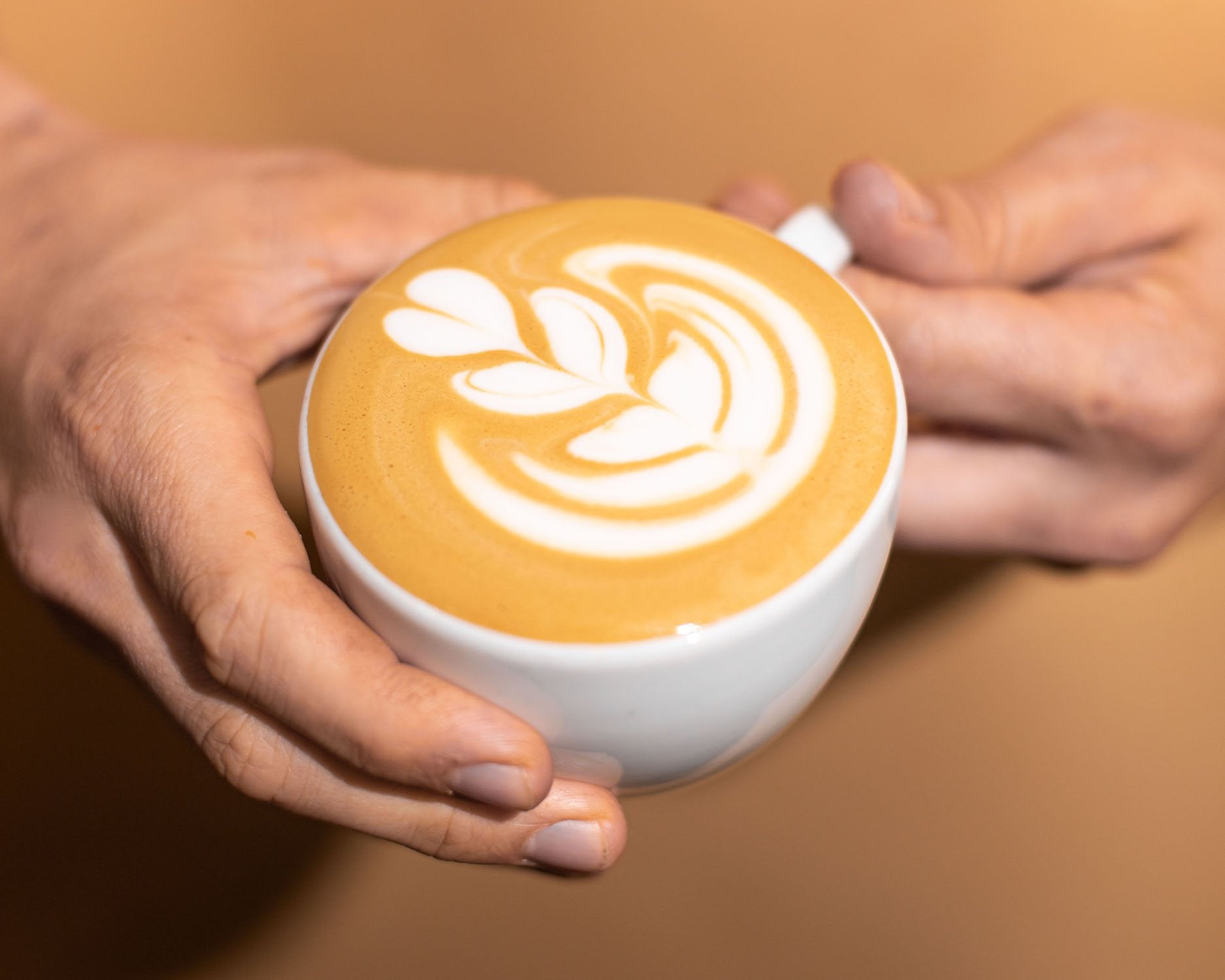 How to Froth Milk for Latte Art