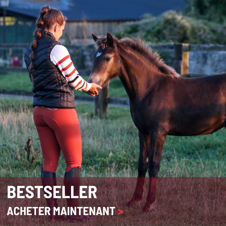 Chaussettes auto-chauffantes Hayraa™