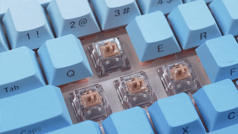 VGN-Test-Switches