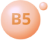 B5