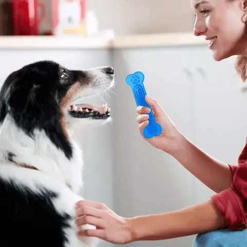 jouet-pour-chien-indestructible-santé-bucco-dentaire