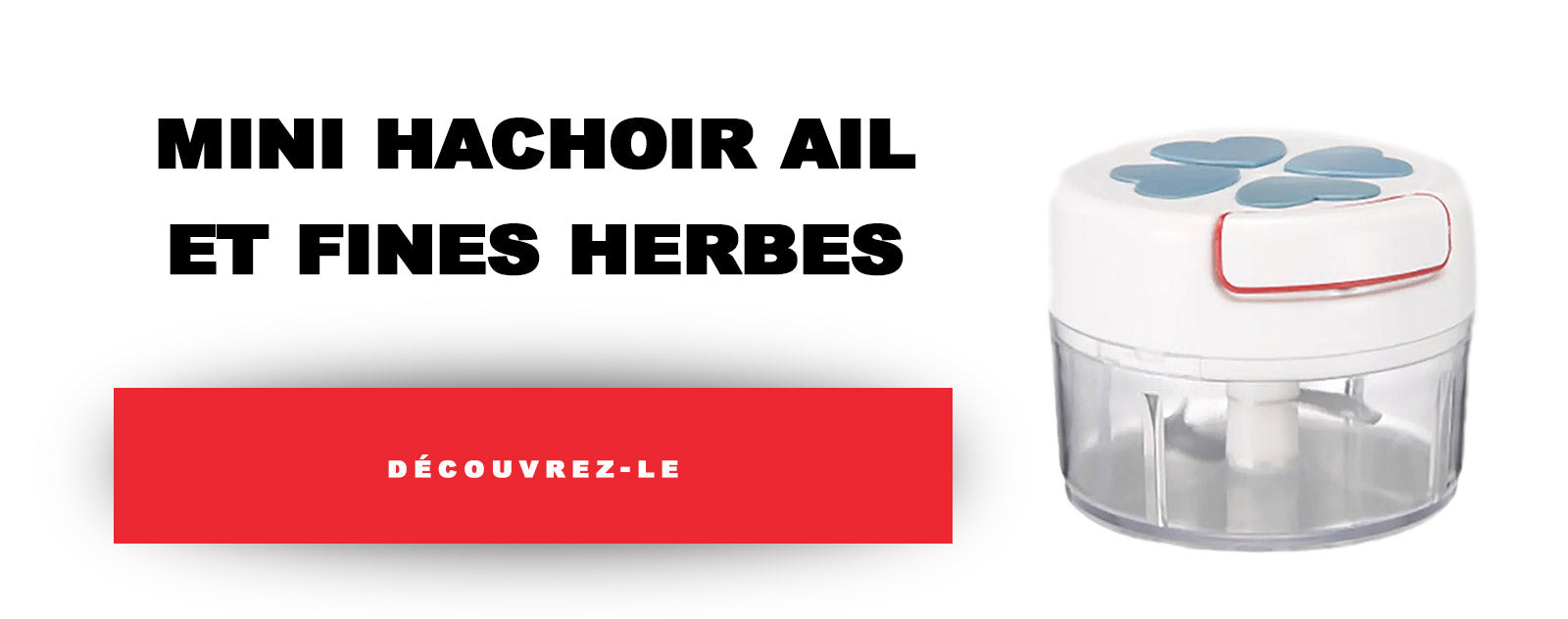 Mini Hachoir Ail et Fines Herbes