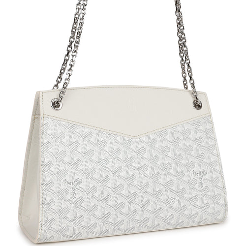 Hermes Sac Faubourg Birkin 20 White Matte Alligator Palladium Hardware –  Madison Avenue Couture