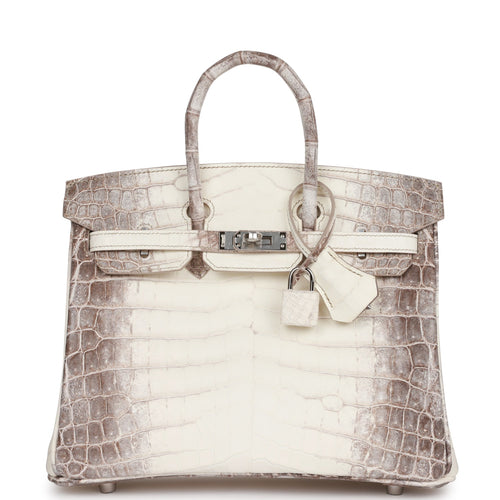 Hermès 30cm Diamond Matte White Himalayan Niloticus Crocodile Birkin Bag,  18K White Gold Hardware 