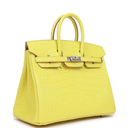 Hermes Birkin 25 Himalaya Niloticus Crocodile Palladium Hardware – Madison  Avenue Couture