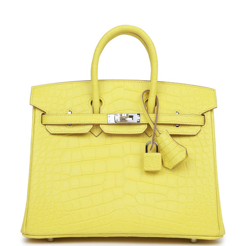 Hermes Birkin 25 Himalaya Niloticus Crocodile Palladium Hardware – Madison  Avenue Couture