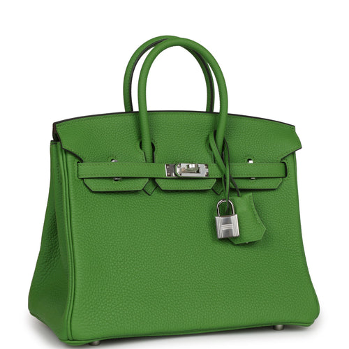 Brand New Hermes Birkin 25 Vert Verone Togo PHW Sold – Ruelamode