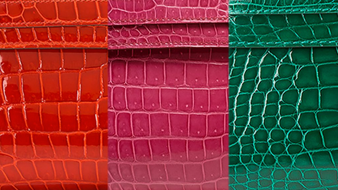 Hermès Crocodile and Alligator Bag Buying Guide, Handbags and Accessories