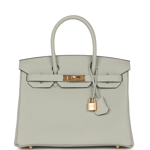 Hermès Birkin Gris Neve Togo 25 Gold Hardware, 2023 (Like New), Womens Handbag