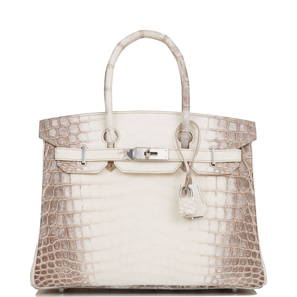 himalaya niloticus crocodile birkin 30