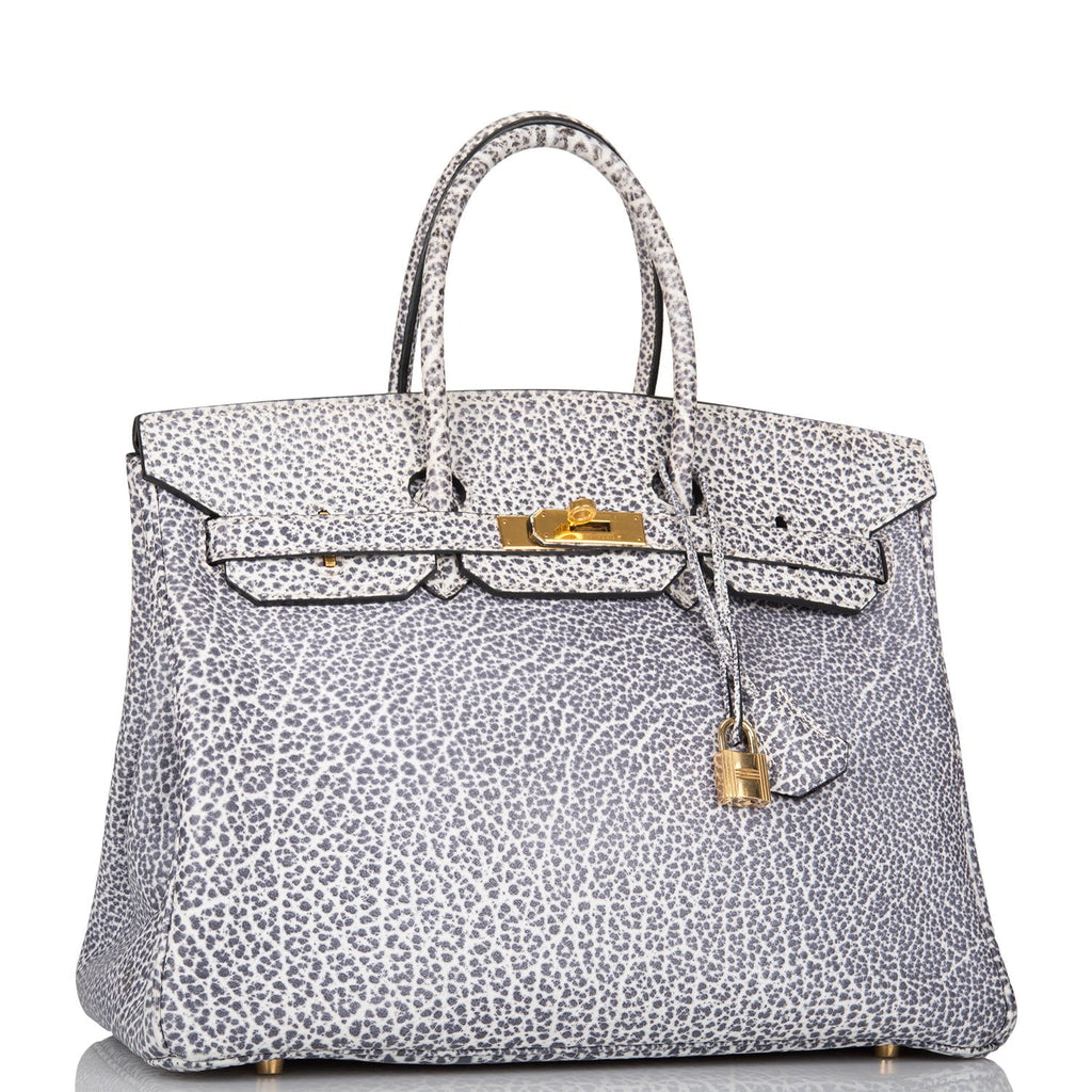 hermes dalmatian