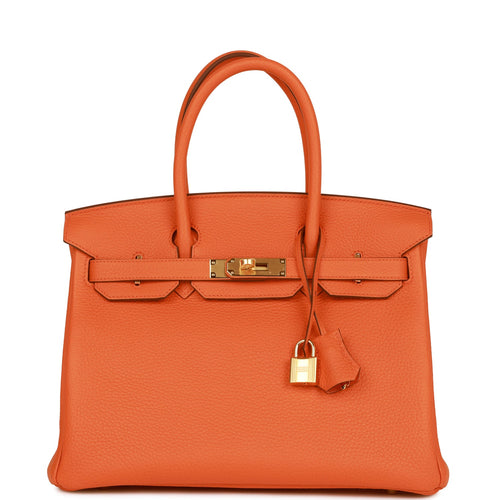 Hermes Orange Birkin 25 Bag For Sale at 1stDibs