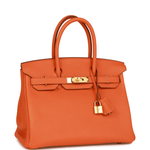 Hermes Birkin 25 Feu Togo Palladium Hardware - Vendome Monte Carlo