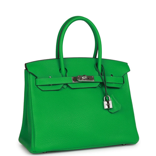 Bougainvillea Shiny Porosus Crocodile Birkin 25 Palladium Hardware, 2018, Handbags & Accessories, 2023