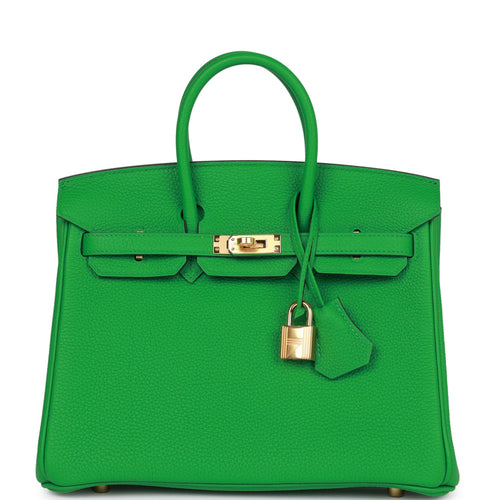 Hermes Birkin 25 Lime Matte Alligator Palladium Hardware – Madison Avenue  Couture