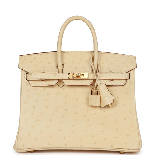 Hermes Birkin 25 Himalaya Niloticus Crocodile Diamond Encrusted Hardwa –  Madison Avenue Couture