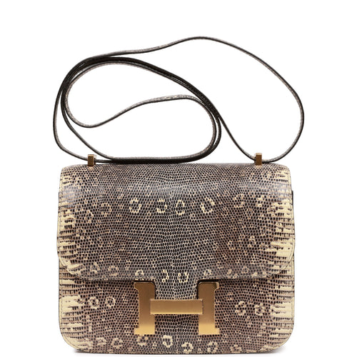 Hermes Constance Bag 24 Ombré Lizard Palladium Hardware – labelluxe