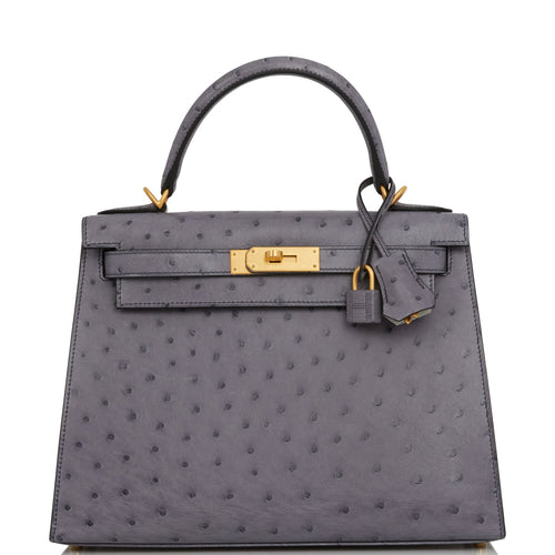 HERMES Ostrich Birkin 25 Gris Perle 1291156