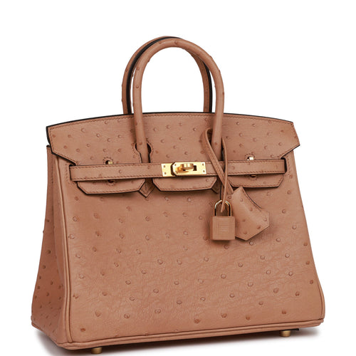 Hermes Birkin 25 Himalaya Niloticus Crocodile Palladium Hardware – Madison  Avenue Couture