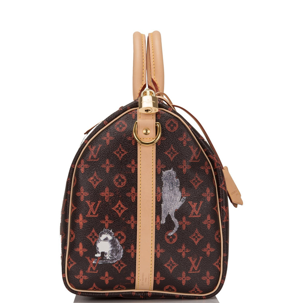 Louis Vuitton x Grace Coddington Monogram Catogram Speedy 30 Bandouliere – Madison Avenue Couture