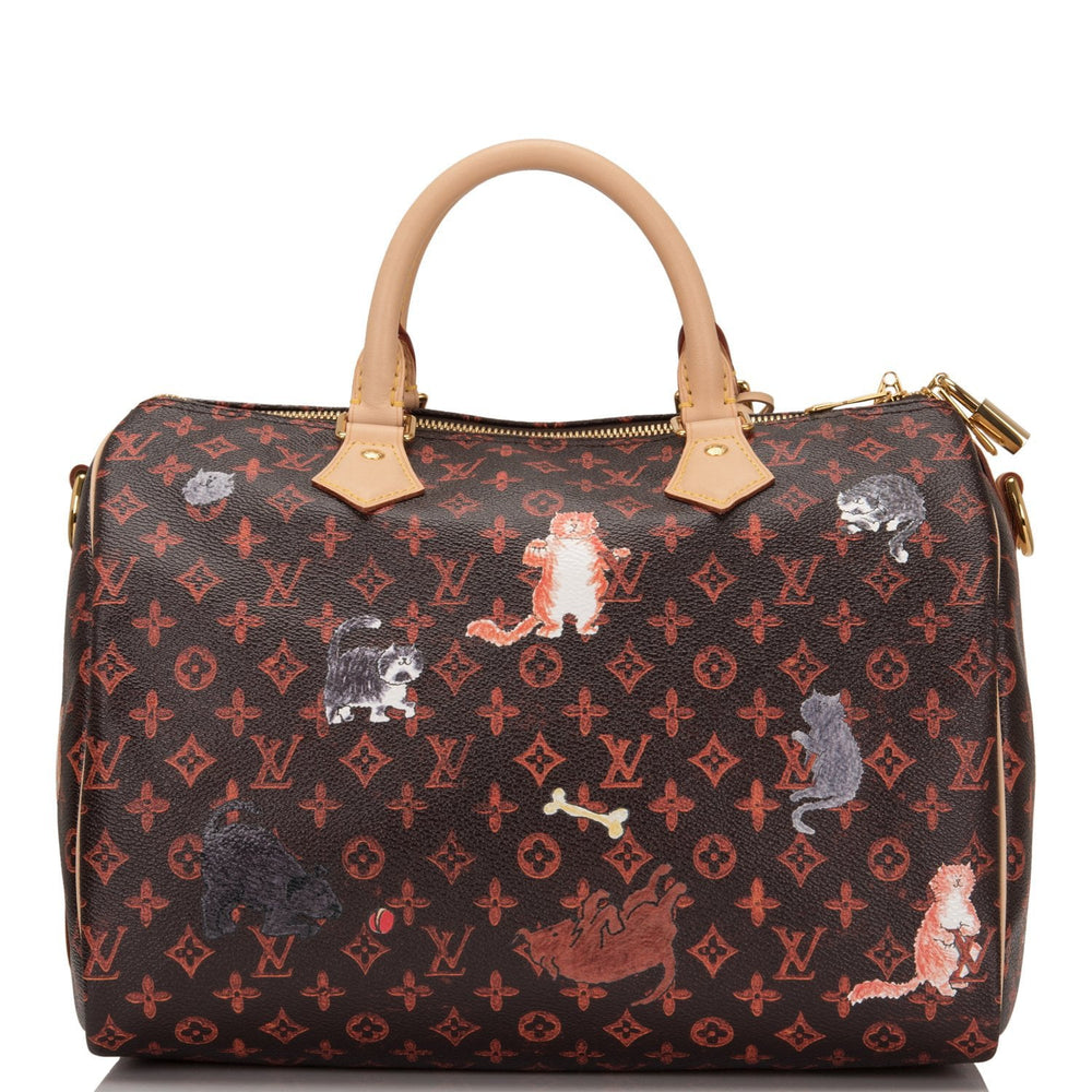 Louis Vuitton x Grace Coddington Monogram Catogram Speedy 30 Bandouliere – Madison Avenue Couture