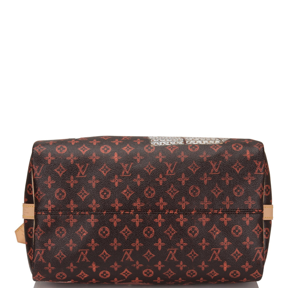 LOUIS VUITTON Catogram Bag Speedy 30 Grace Coddington New at 1stDibs