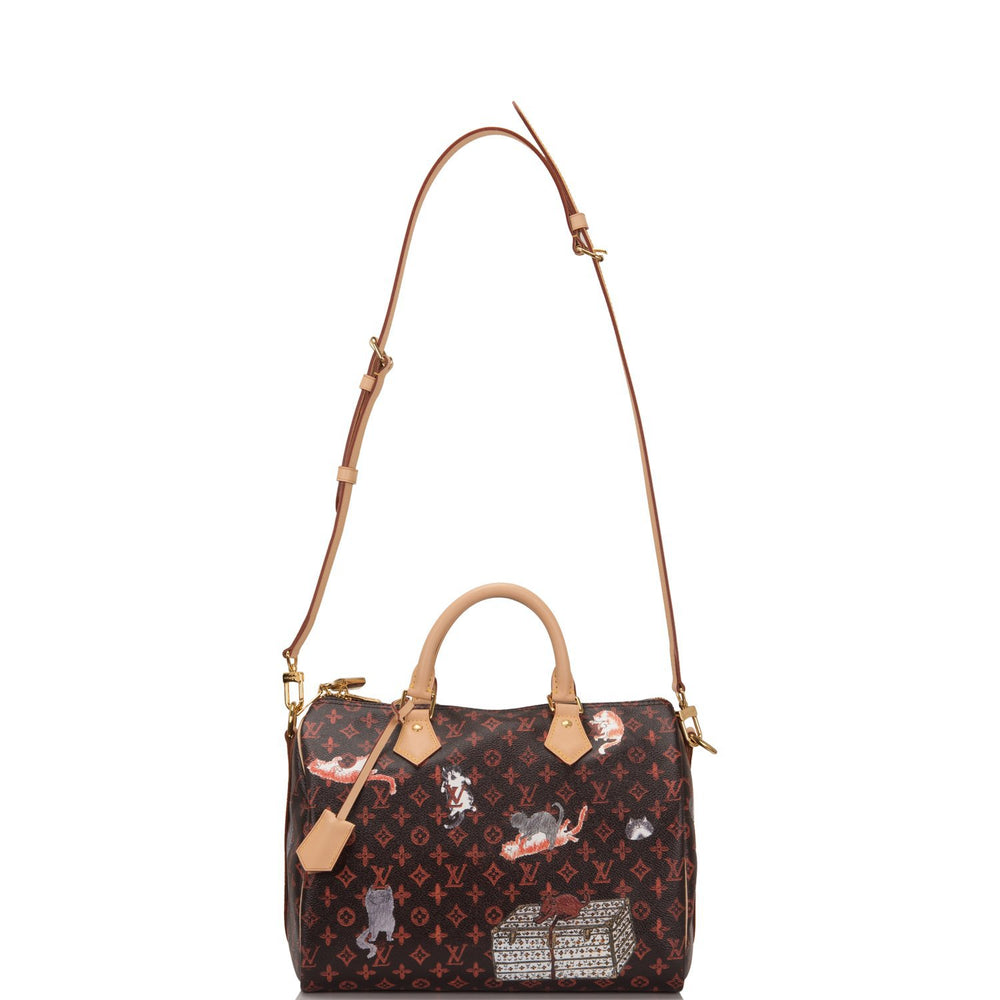 Louis Vuitton x Grace Coddington Monogram Catogram Speedy 30 Bandouliere – Madison Avenue Couture