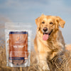 Dehydrated Sweet Potato Treats for Dogs| All Natural 4oz.