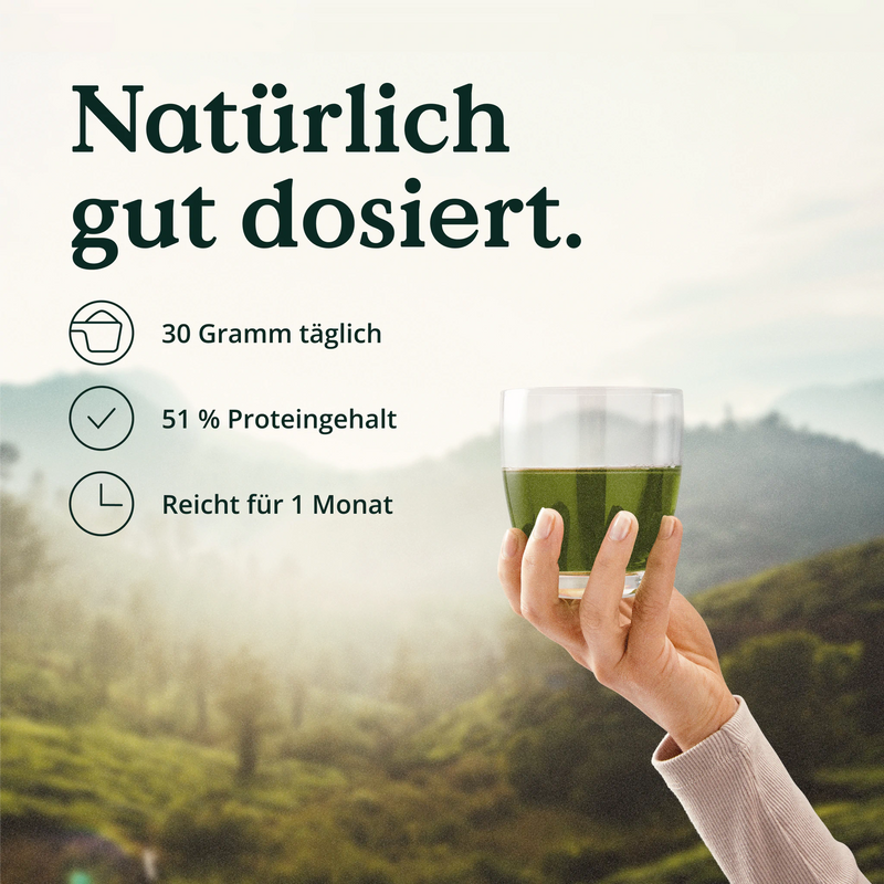 1kg Pulver_für 1 Monat / Matcha