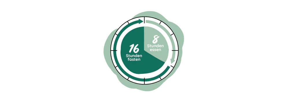 Schaubild eines Kuchendiagramms, auf dem ein Zeitraum von 16 Stunden und von 8 Stunden dargestellt sind.