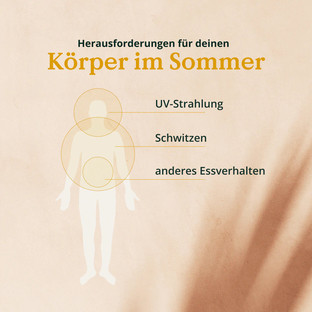 Infografik: Herausforderungen im Sommer für den Körper