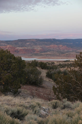 Looking out on Abiquiu Lake