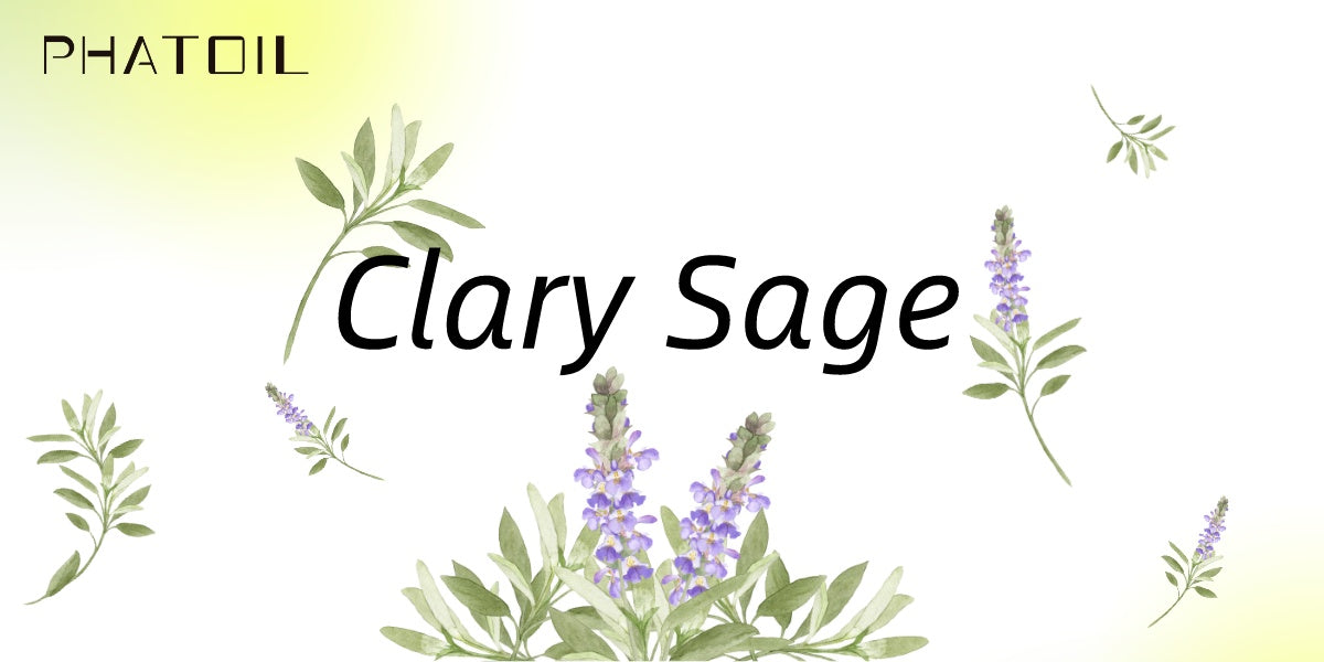 PHATOIL Clary Sage Oil