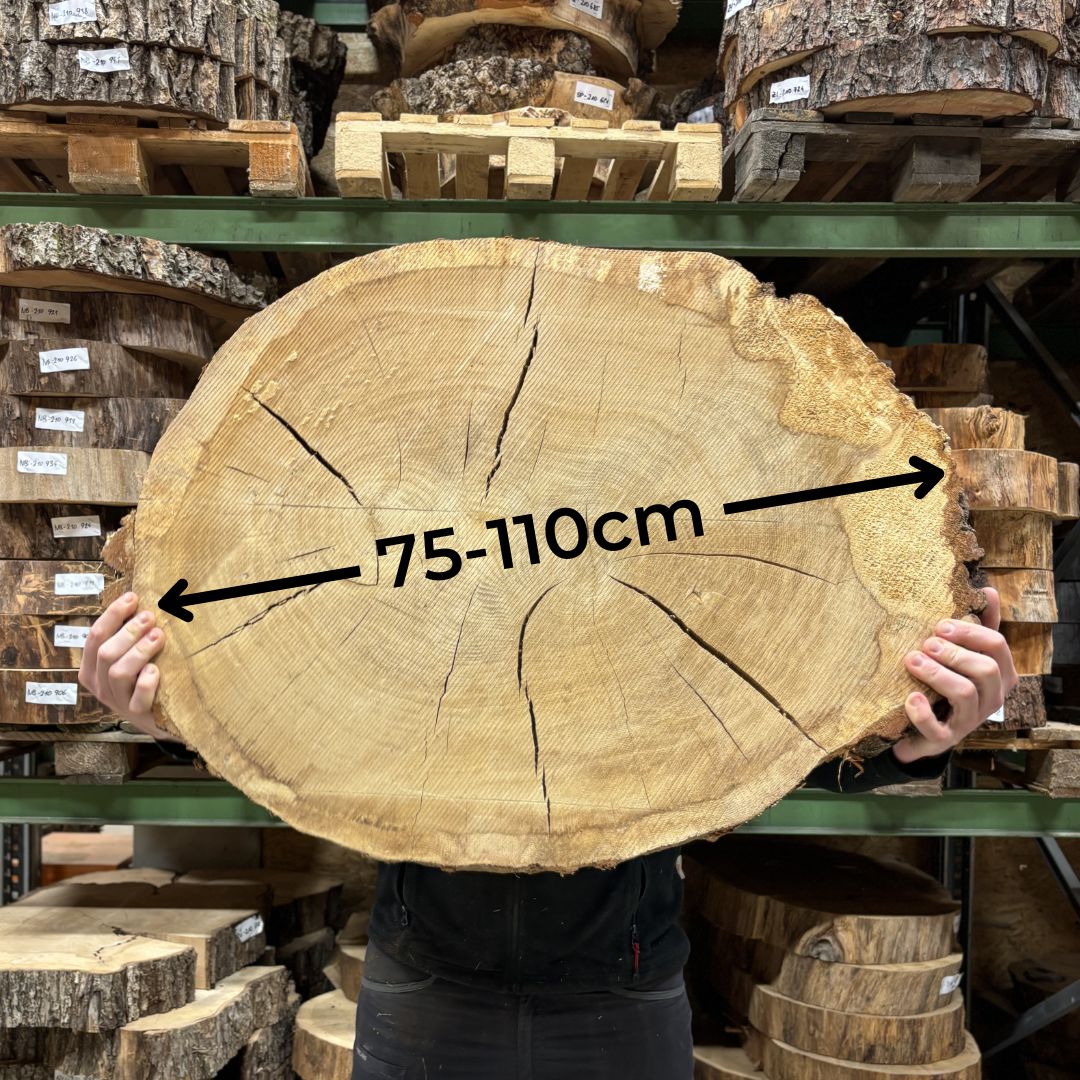 Baumscheiben 75 bis 100cm Durchmesser.jpg__PID:48e8bc8f-fe71-4056-9e9e-73521d3b15e8