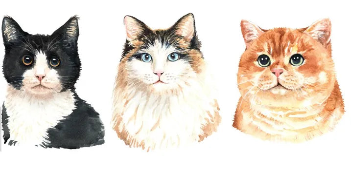 Make Cat Fur Realistic