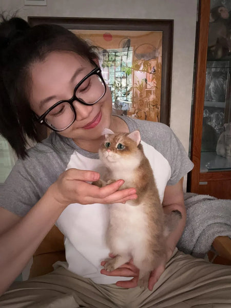 Custom cat wool needle felt