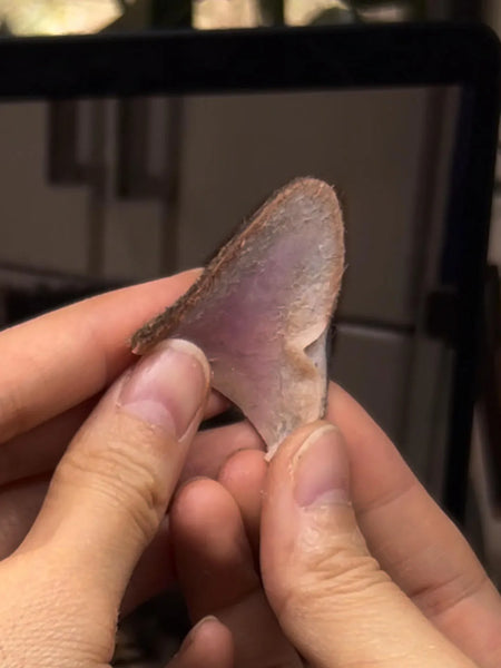Polymer Clay Cat Ear