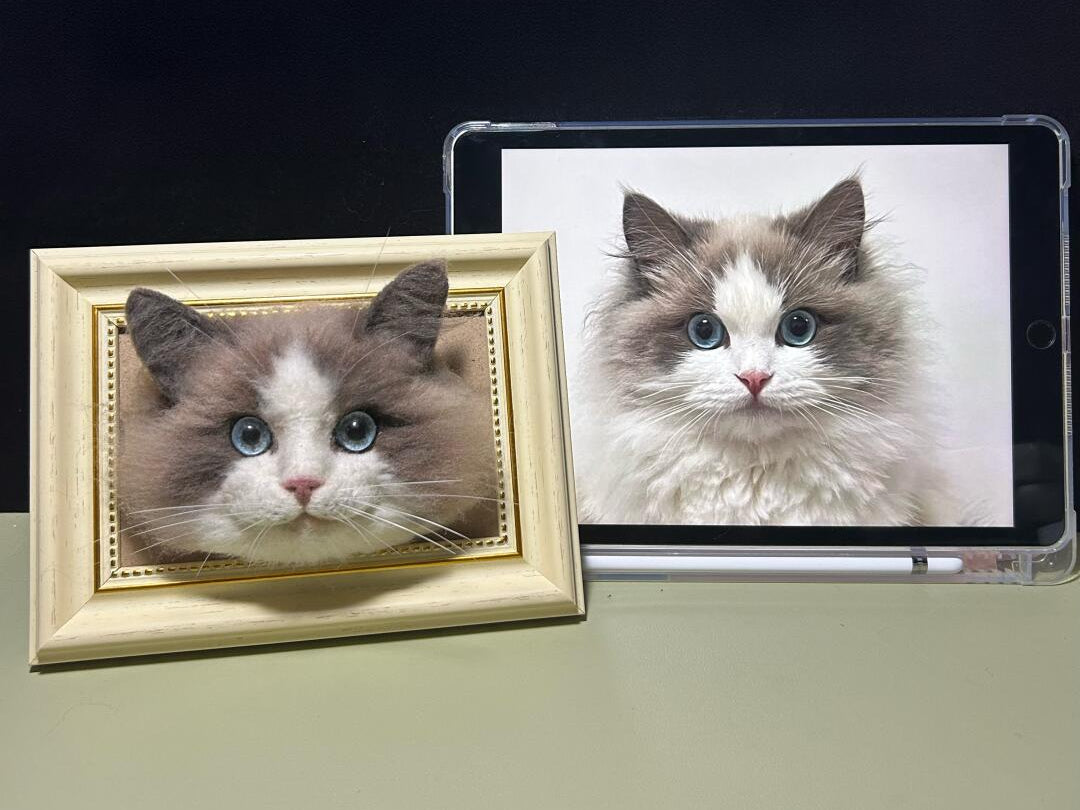 Custom Stuffed Animal Clones with Wooden Frame