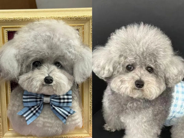 personalized plush toys