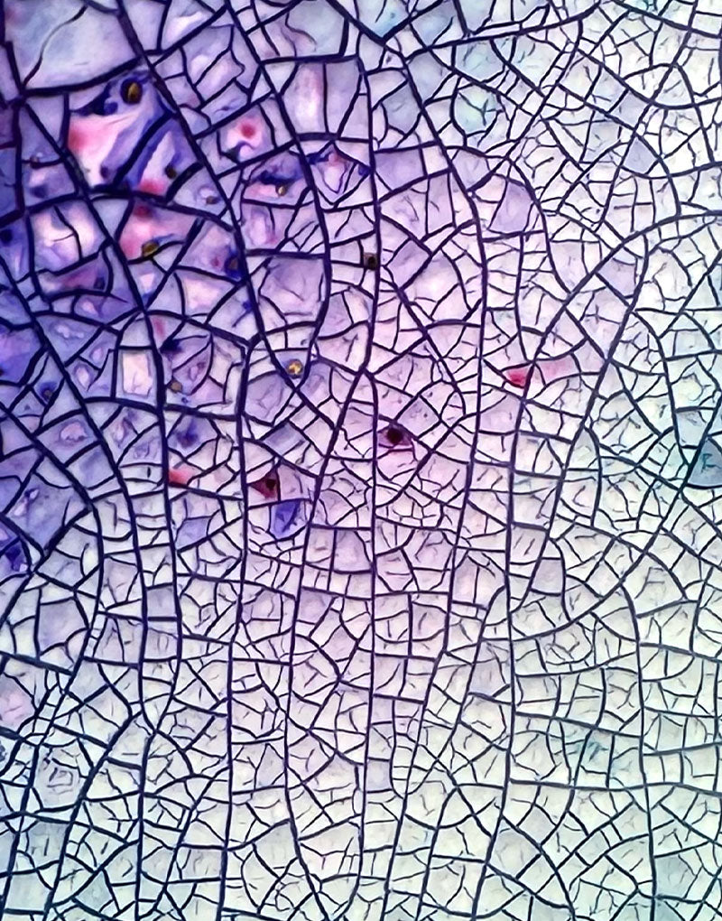 up close image of crackle paste