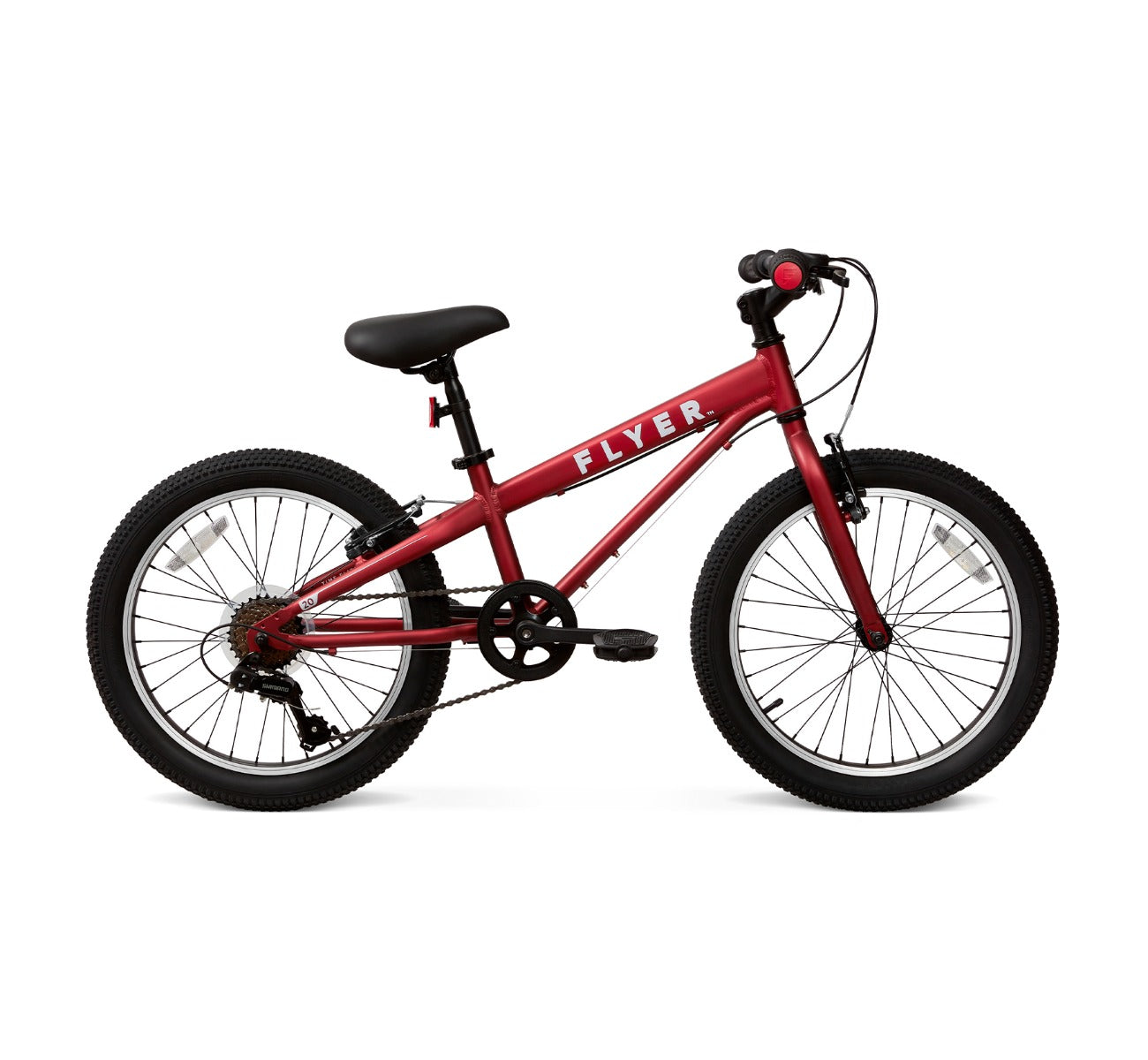 Flyer 20 Kids' Bike -gray"