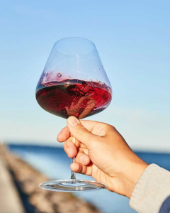 Burgundy wine glass filled with red wine held up against an ocean backdrop.