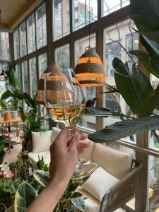 Glass of white wine held near a bright open window.