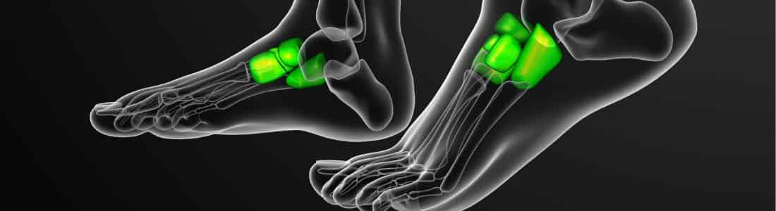 Get to know your cuboid foot bone