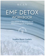 EMF Detox workbook by Ruan Living