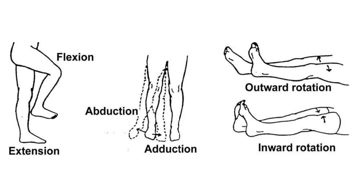 movements of the hip during golf